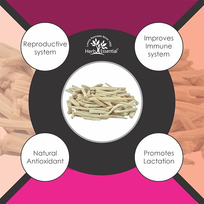 3.52 Ounce 100% Natural Shatavari Powder, Asparagus Racemosus, Pure Ayurvedic Herb for Energy & Vitality, Vegan, No Preservatives, (1.76 Ounce Pack of 2)