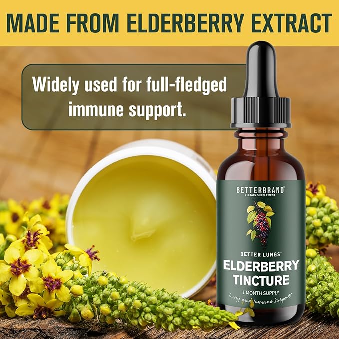Betterbrand BetterLungs Elderberry Tincture Dietary Supplement - All Natural Sugar-Free Non-GMO Vegetarian for Winter Immune Support (30 Day)