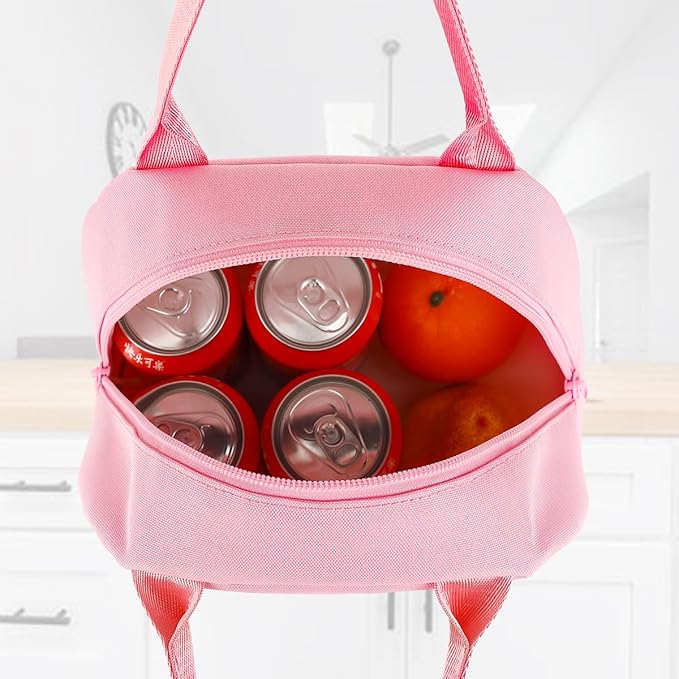 FlowFly Lunch Bag Tote Bag Lunch Organizer Lunch Holder Insulated Lunch Cooler Bag for Women/Men,Pink, LB002-PK07