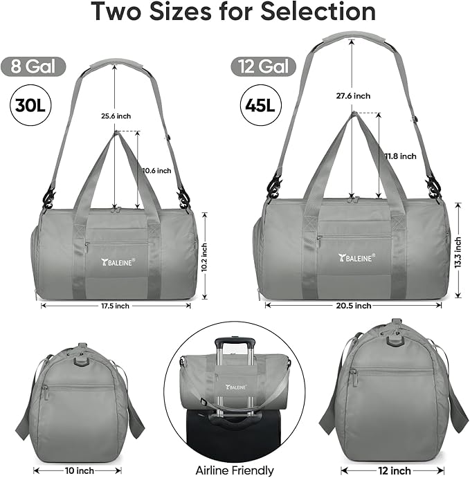 BALEINE Gym Bag for Women and Men, Small Duffel Bag for Sports, Gyms and Weekend Getaway, Waterproof Dufflebag with Shoe and Wet Clothes Compartments, Lightweight Carryon Gymbag (Silver)