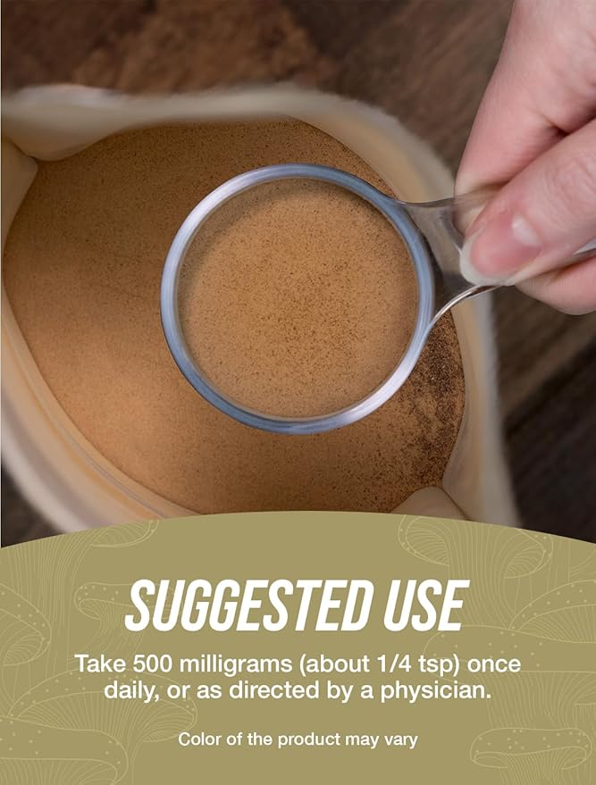 BulkSupplements.com Maitake Mushroom Extract Powder - Superfood Supplement, Maitake Mushroom Supplement - Gluten Free, 500mg per Serving, 500g (1.1 lbs) (Pack of 1)