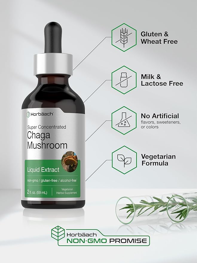 Horbäach Chaga Mushroom Liquid Extract | 2 Fl Oz | Vegetarian Tincture | Alcohol Free | Non-GMO, Gluten Free