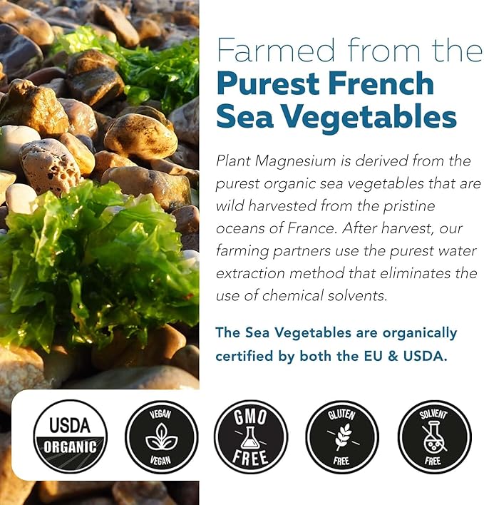 Organic Magnesium | Whole Food Magnesium - Plant-Based, Organic Sea Vegetable Complex - 250 mg Magnesium Per Serving | Water Extracted | Gentle on Stomach | Energy, Sleep, Muscle, Heart - 60 Capsules