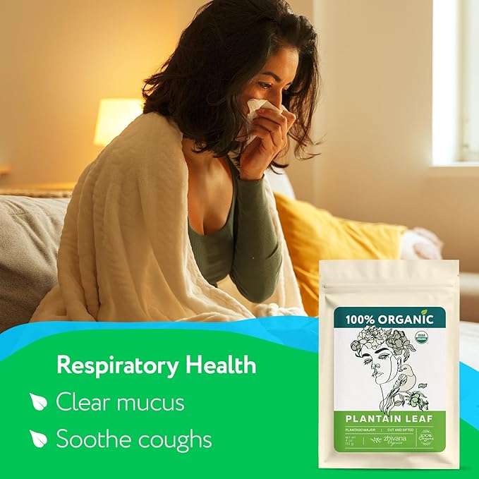 Super Value Pack 5 LB – Organic Plantain Leaf Tea (Plantago Major) – Natural Respiratory Support - Loose Leaf Tea for Soothing, Digestive & Immune Benefits