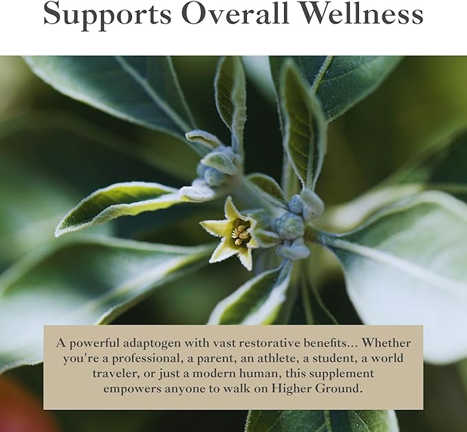 Ashwagandha with Black Pepper | Herbal Supplement for Stress Relief, Mood Enhancement, Immune System, Cognitive Function, Hormone Regulation | Cholesterol Levels | Non-GMO | Gluten-Free | 60 Capsules