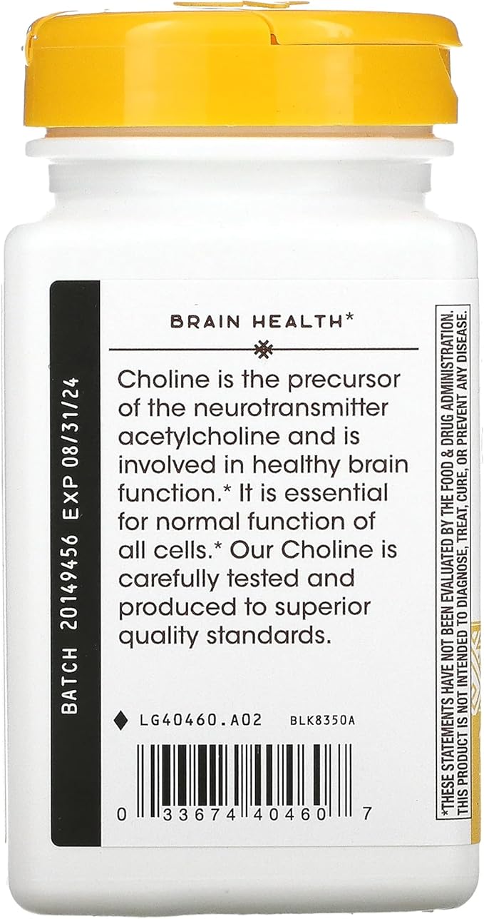 NATURES WAY 500Mg 100 Tb Choline, 100 CT