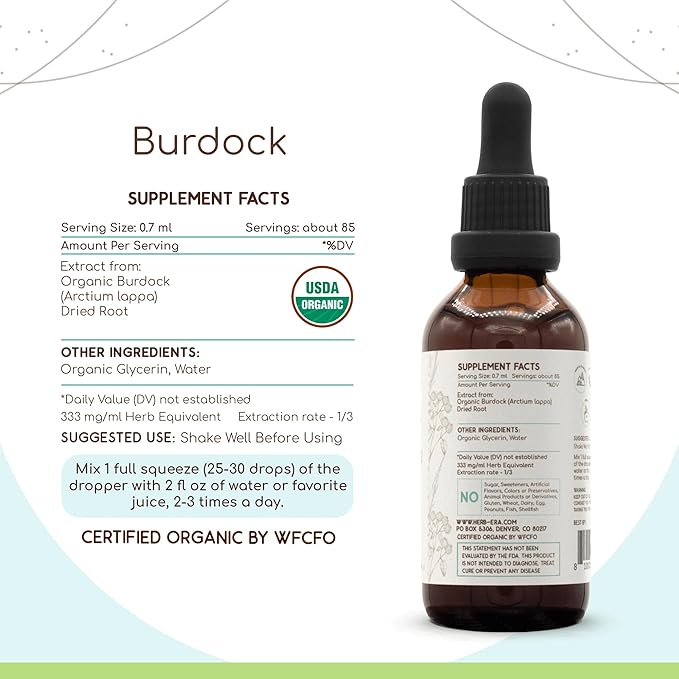 Burdock B60 USDA Organic Tincture | Alcohol-Free Extract, High-Potency Herbal Drops | Certified Organic Burdock (Arctium lappa) Dried Root (2 oz)