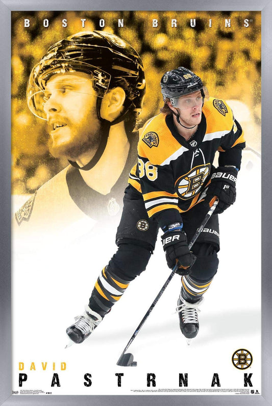 Trends International NHL Boston Bruins - David Pastrnák 19 Wall Poster, 14.725" x 22.375", Silver Framed Version