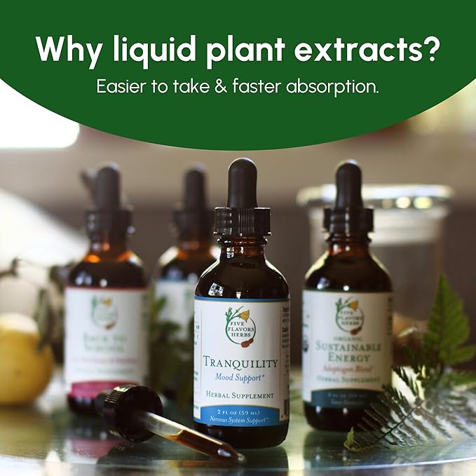 G.I. Feel Better Tincture - Gas & Bloating Support, Digestive Health Formula, Turmeric, Elecampane, Ginger, Cardamom, Herbal Supplement - 2 Fl Oz