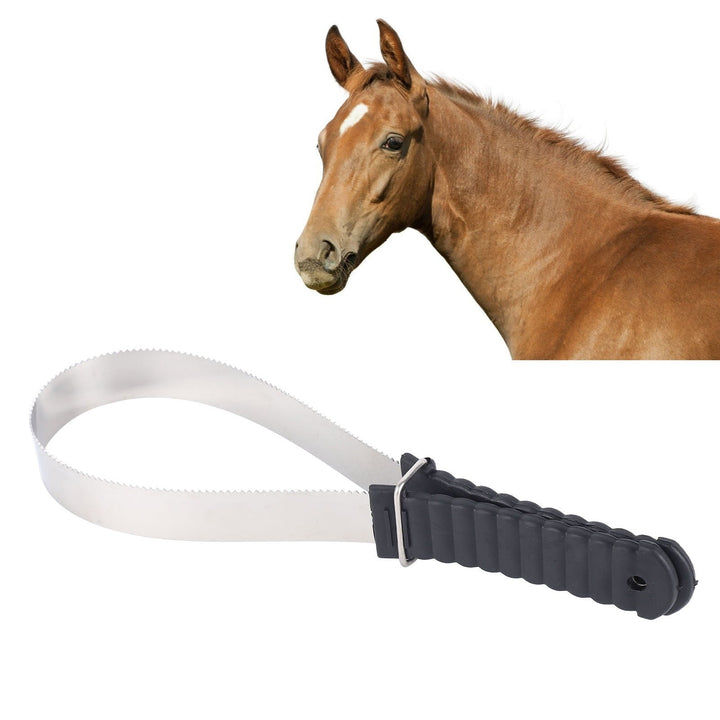 Stainless Steel Horse Curry Comb, Safe, Rustproof Hair Scraper For Effective Cleaning