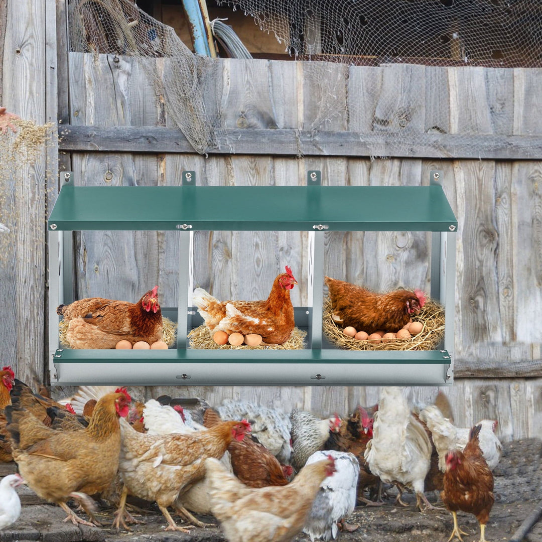 Chicken Nesting Boxes for Laying Eggs, 3 Compartment Metal Hen Nest Box, Wall Mounted Chicken Coop, Easy to Clean & Rust Resistant, Ideal for All Chicken Breeds
