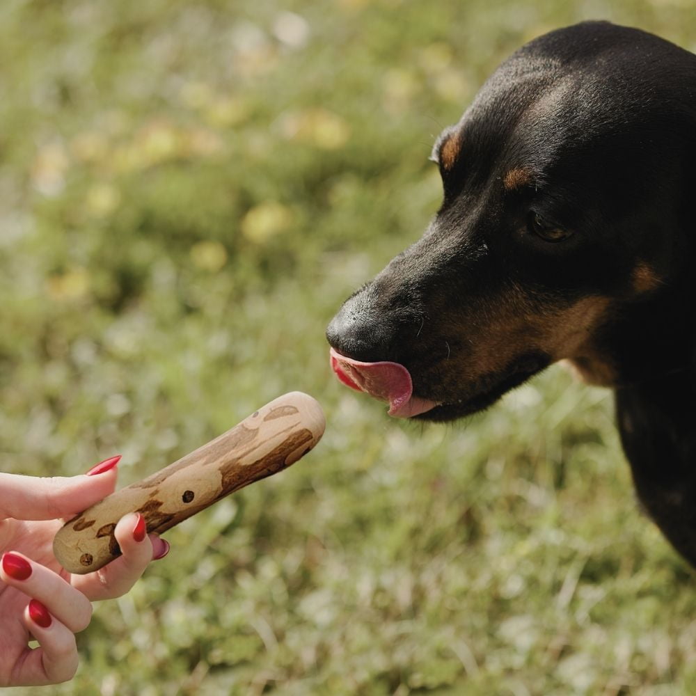 Wildfang® 1 Coffee Wood with Salmon Oil (Size S) Dog Chew – Natural Salmon Oil Infused Wooden Stick for Dogs, Durable Bone Toy, Coffee Bones Stick
