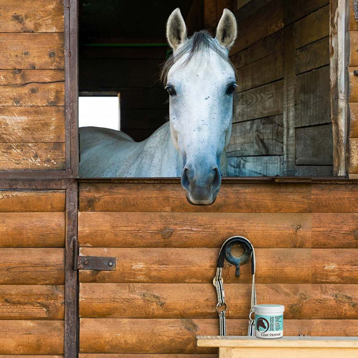 Coat Defense Trouble Spot Drying Paste for Horses | 24oz