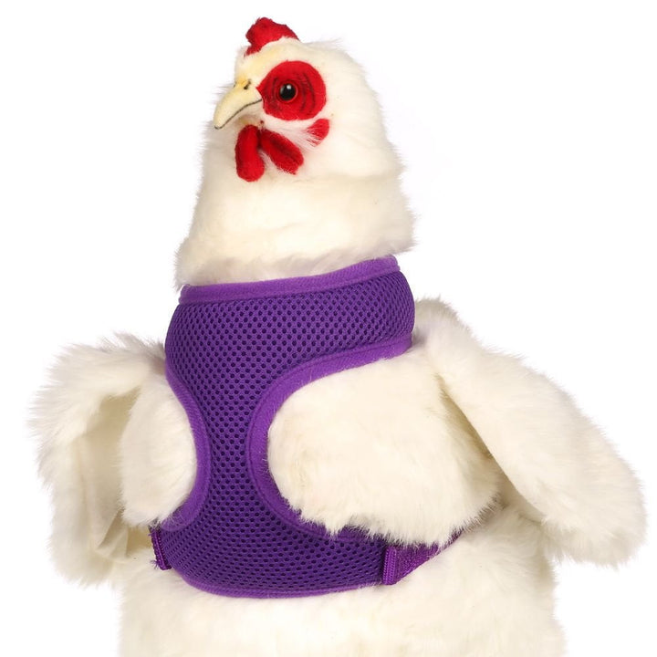 Original Valhoma Chicken Combo Pullet Harness with 4 Feet Leash Purple, XS