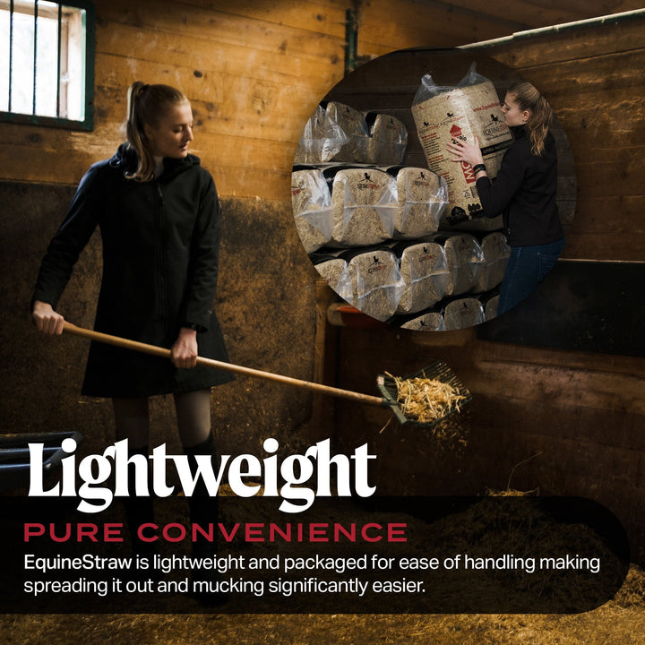 HealthiStraw EquineStraw, 3 cu ft - All-Natural Wheat Straw Bedding for High-Performance Horses, Foaling and Trailers - Horses with Respiratory or Sensitive Skin Issues- Sustainably Sourced - Cleaned