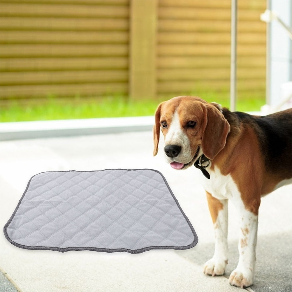 2 Pcs Hamster Cage Mat Small Pet Liners Fleece Bedding for Guinea Pigs Dog Urine Pad