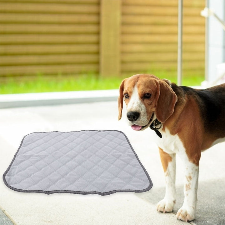2 Pcs Hamster Cage Mat Small Pet Liners Fleece Bedding for Guinea Pigs Dog Urine Pad