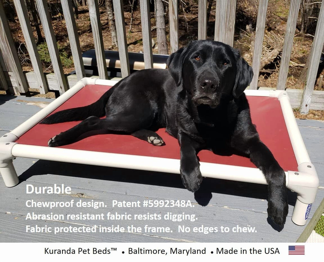 Chewproof Heavy Duty Dog Bed 25x18 Inches for Large Dogs, Rip Proof Vinyl Fabric, Scratch Resistant, Almond PVC Frame, Royal Blue