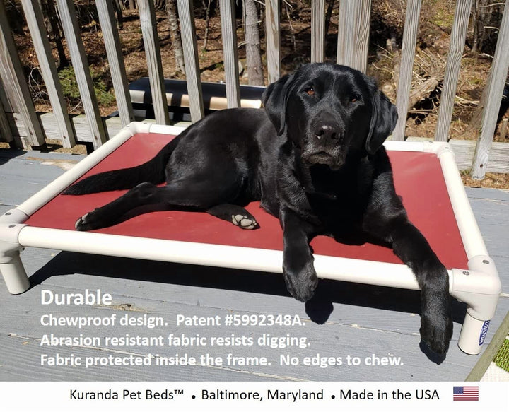 Chewproof Heavy Duty Dog Bed 25x18 Inches for Large Dogs, Rip Proof Vinyl Fabric, Scratch Resistant, Almond PVC Frame, Royal Blue