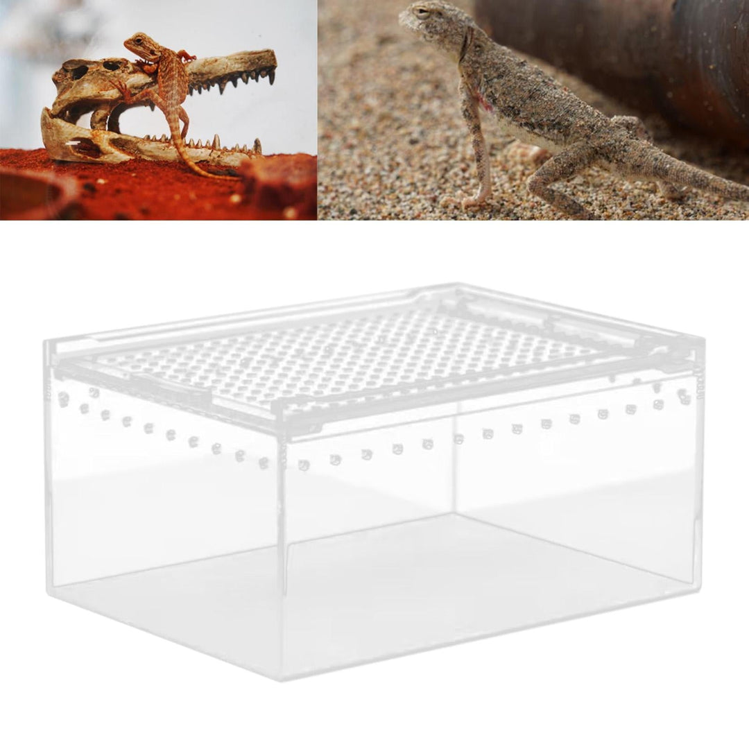 TOOYFUL Reptile Breeding Box Acrylic Animal Habitat Cage for Turtle Geckos Container 20cmx15cmx10cm