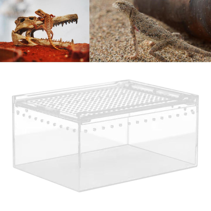 TOOYFUL Reptile Breeding Box Acrylic Animal Habitat Cage for Turtle Geckos Container 20cmx15cmx10cm