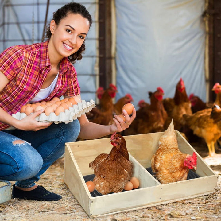 8 Pack Washable Chicken Nesting Pads for Laying Eggs, Nesting Box Liners for Chicken Coop Reusable Chicken Litter Black