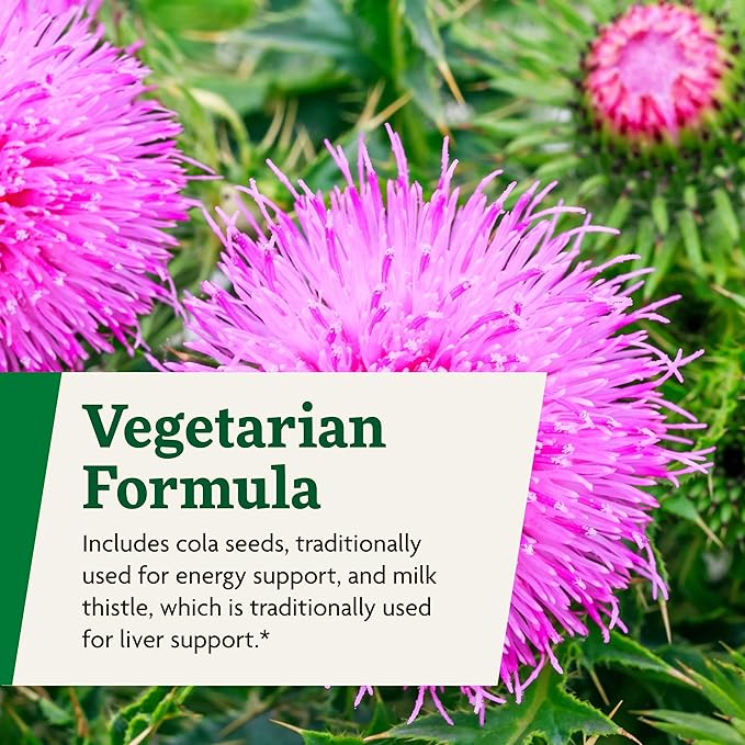 Floradix Epresat Adult Multivitamin - Daily Liquid Multivitamin with Vitamin A, Milk Thistle & More for Wellness - Energy Support & Liver Health Support* - Vegetarian, Non-GMO - 8.5 fl oz