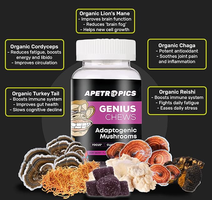 Apetropics Genius Chews - Brain Gummies with Lion’s Mane, Cordyceps, Reishi, and Turkey Tail Mushroom - Immune Support and Nootropic Brain Supplement - Very Berry Flavor - 30 Fruit Chews