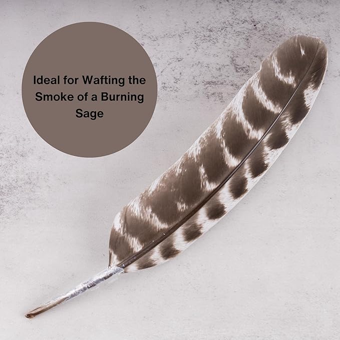 4 pc Sage Smudge Sticks with White Sage, Dragons Blood, Chakra Sage, Lavender Sage, Turkey Feather, & Smudging Guide – Home Cleansing, Energy Healing, Meditation, Reiki, & Clearing Negative Energy