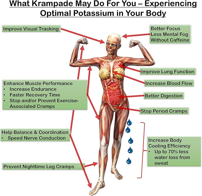 Electrolytes Powder Potassium Supplement - 2000 mg K+, >2X More Than Coconut Water | Cramp Relief and Prevention | Hydration Powder (Lemon Lime)