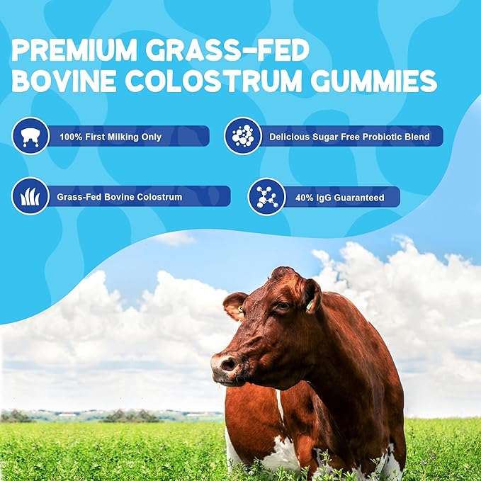 Grass Fed Colostrum Supplement 2000mg, 120 Gummies Sugar Free 40% IgG Bovine Colostrum Gummies + Probiotic, Multivitamin Etc for Immune Support, Gut Support, Hair & Skin