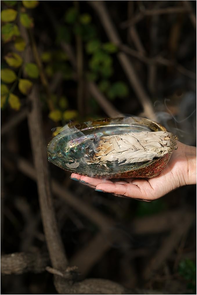 Sage Kit for Cleansing, Positive Energies, Purification, Healing, Meditation, Rituals-White Sage Sticks -4 inches (3 Pack)~Abalone Shell 5-6 inches~6 inch Tripod Stand by New Age Smudges & Herbs