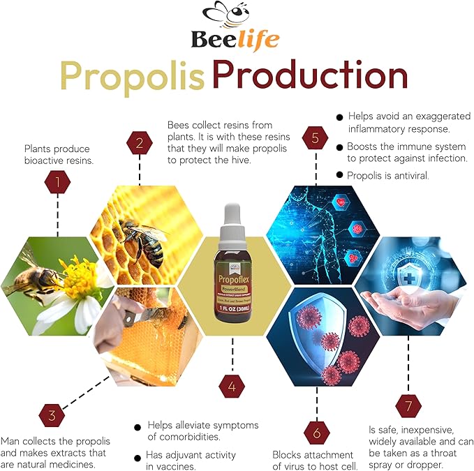 Beelife Propolis Extract, Power Blend Green, Red & Brown Propolis- 100% Pure Extract Bee Propolis Tincture, High Artepillin-C Levels - Natural Antioxidant, Immune Support- from Brazil (30ml/ 1Fl.Oz)