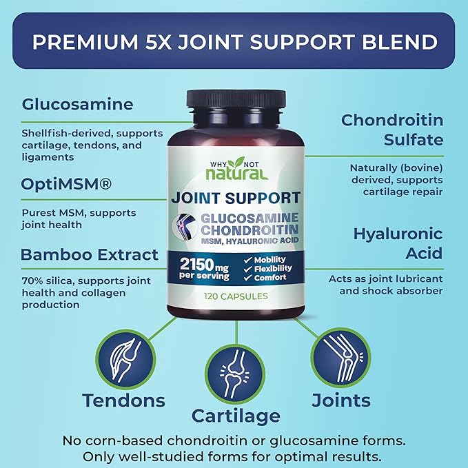 Why Not Natural Glucosamine Chondroitin, MSM, Joint Support Supplements - Knee Pain Joints Health Suppplement