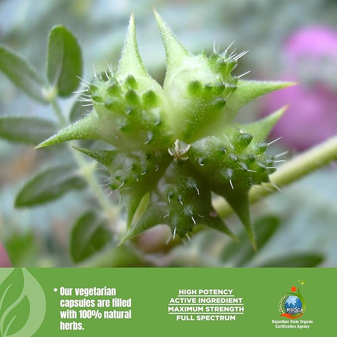 Tribulus Terrestris Gokshura 750mg | 30% Saponins, 60 Vegan Capsules | Ayurvedic Supplement for Vitality, Energy, Stamina & Wellness Support