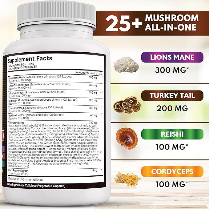 NEW AGE Lions Mane Mushroom Supplement with Turkey Tail Reishi Cordyceps Chaga with Marshmallow Root