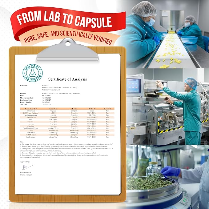 Ultra Gymnema Sylvestre Supplements - Enhanced with Berberine Ceylon Cinnamon Holy Basil for Optimal Immunity, Pancreatic & Circulatory Function