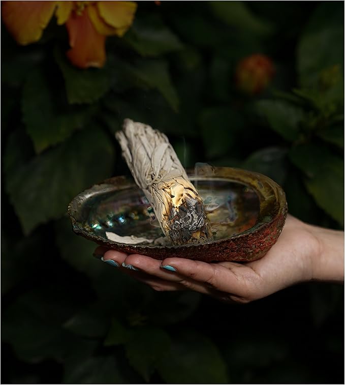 Sage Kit for Cleansing, Positive Energies, Purification, Healing, Meditation, Rituals-White Sage Sticks -4 inches (3 Pack)~Abalone Shell 5-6 inches~6 inch Tripod Stand by New Age Smudges & Herbs