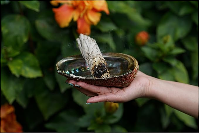 Sage Kit for Cleansing, Positive Energies, Purification, Healing, Meditation, Rituals-White Sage Sticks -4 inches (3 Pack)~Abalone Shell 5-6 inches~6 inch Tripod Stand by New Age Smudges & Herbs