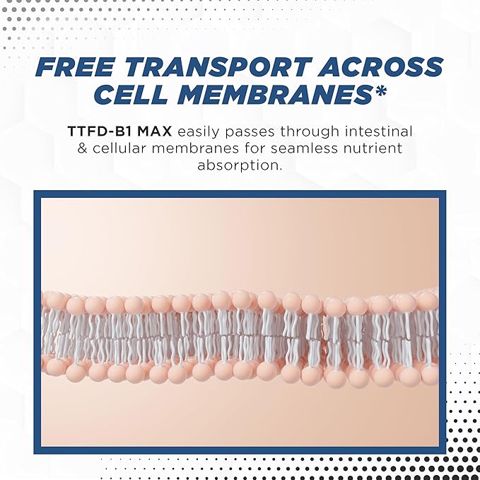 TTFD Thiamine B1 Supplement 60Capsules Made in USA- Thiamine TTFD Vitamin B1 MAX, High-Potency Supplement for Energy & Focus, Supports Healthy Nerve Function & Overall Wellness by MaxLife Naturals