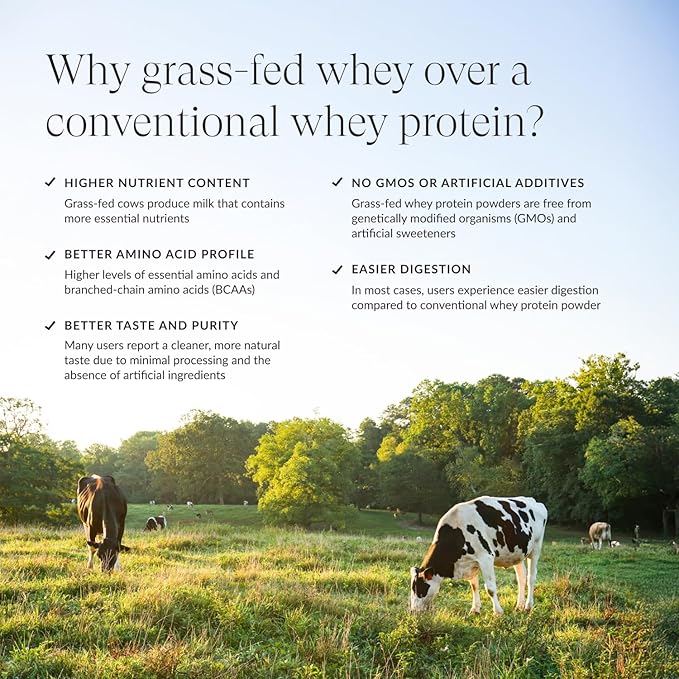 Beam Dream Sleep Powder, Sleep Aid Grass Fed Whey Protein Powder