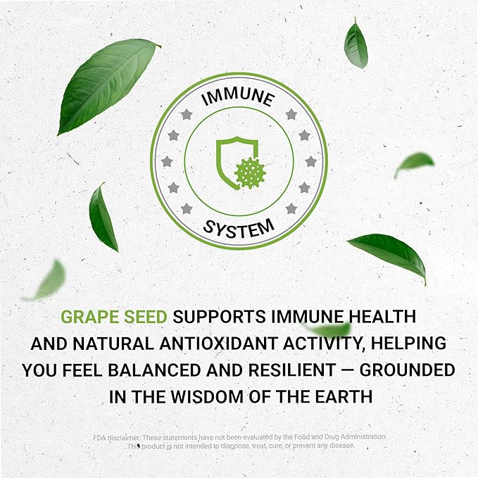 Secrets of the Tribe Grape Seed Tincture Alcohol-Free Liquid Extract, Grape (Vitis Vinifera) Dried Seed (2 FL OZ)