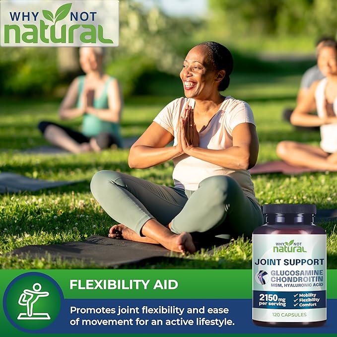 Why Not Natural Glucosamine Chondroitin, MSM, Joint Support Supplements - Knee Pain Joints Health Suppplement