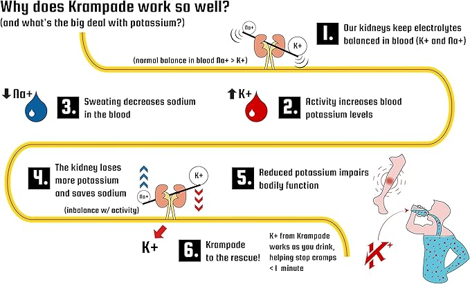 Anti-Cramping Potassium Replacement Sports Drink - 2K Fruit Punch Single Serve Colorless