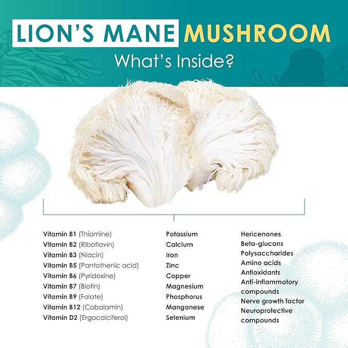 Lion’s Mane Powder - Organic Lions Mane Mushroom Extract for Cognitive & Nervous System Support - Brain Supplements for Memory and Focus 60g
