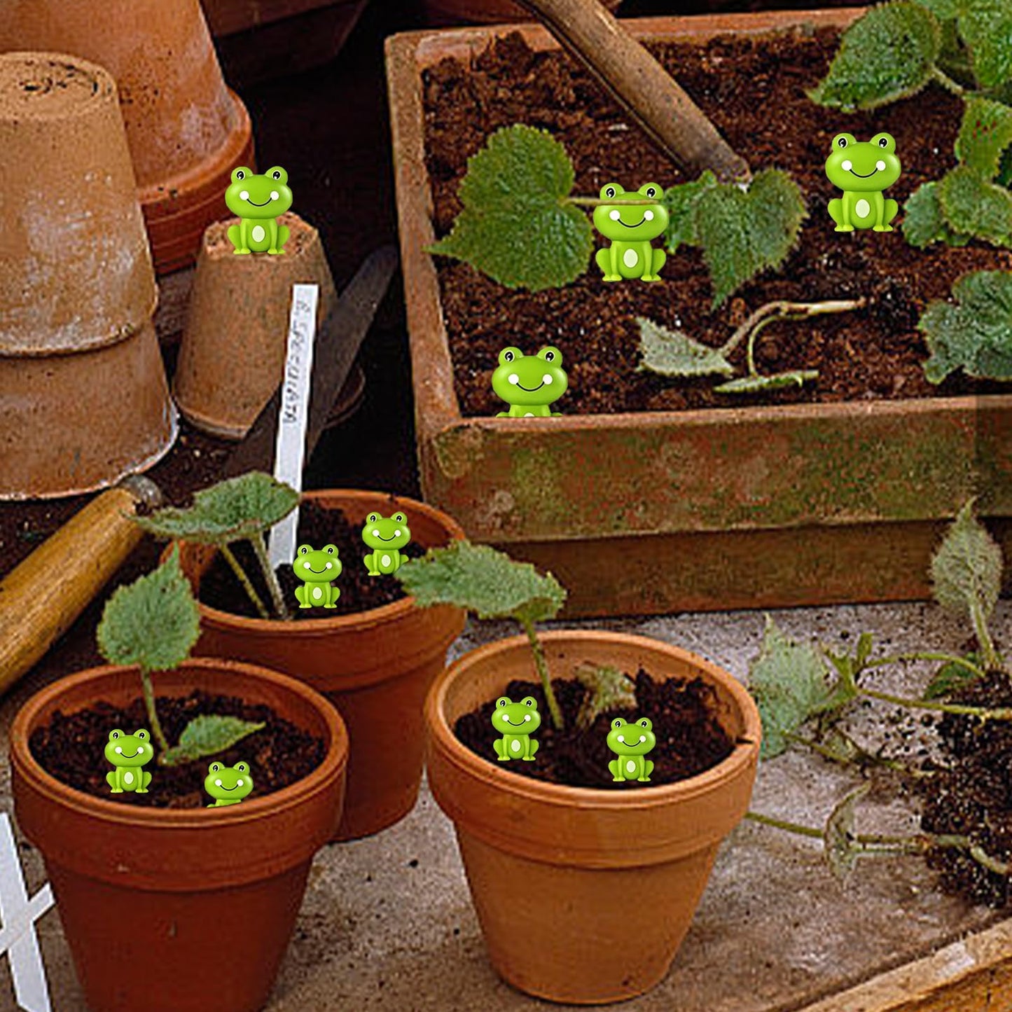 100 Pieces Mini Green Plastic Frog Garden Decorations, Wsimily Tiny Frog Sculptures for Fairy Garden, Dollhouse Décor, Party & Home Decoration - Cute Miniature Frog Figurines