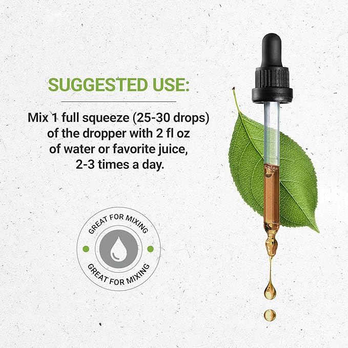 Stinging Nettle Root USDA Organic | Alcohol-FREE Extract, High-Potency Herbal Drops, Respiratory System | Made from 100% Certified Organic Stinging Nettle (Urtica Dioica) Dried Root 2 oz