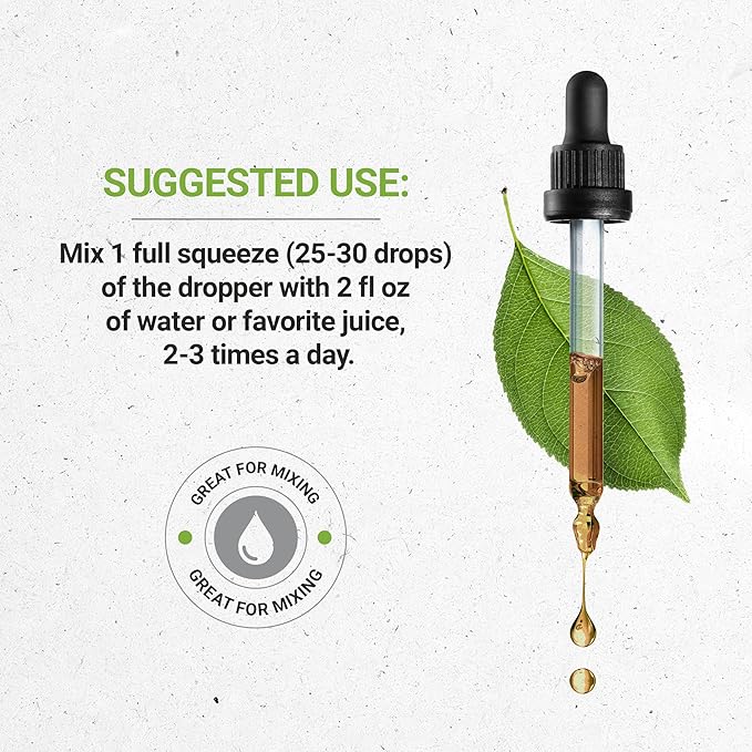 Secrets of the Tribe OSHA Alcohol-Free Liquid Extract, Responsibly farmed OSHA (Ligusticum porteri) Dried Root 4 FL OZ