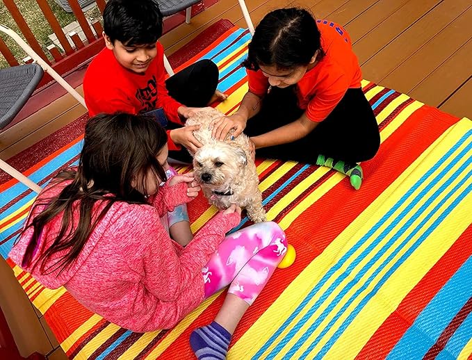 BalajeesUSA Outdoor Rug - 9x12 Multi Color, Reversible Plastic Straw, Waterproof, Patio Rugs Clearance, Porch decore, Picnic Backyard Rugs, Large RV Camper mats 7421