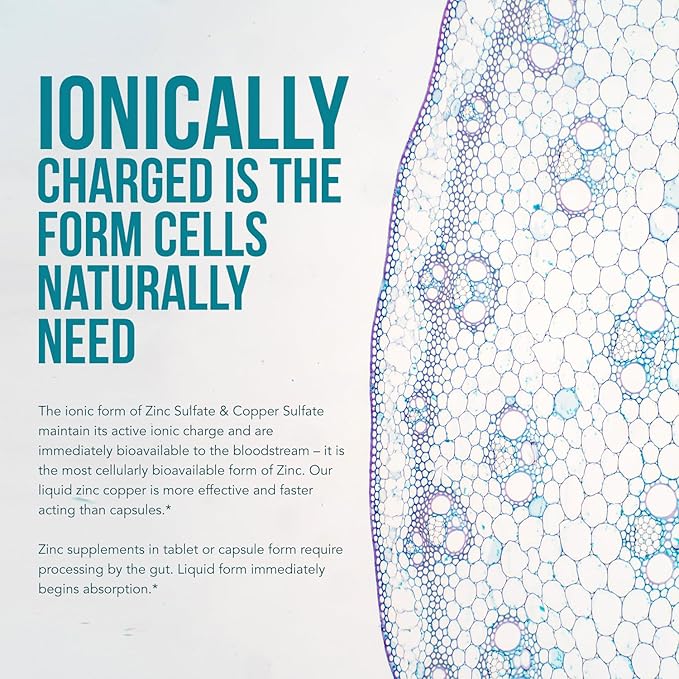 Ionic Zinc Plus Copper Liquid Concentrate 240 Servings, Glass Bottle, Vegan - Balanced Ratio of Zinc Copper - Supports Immunity, Brain Thyroid (2 oz.)